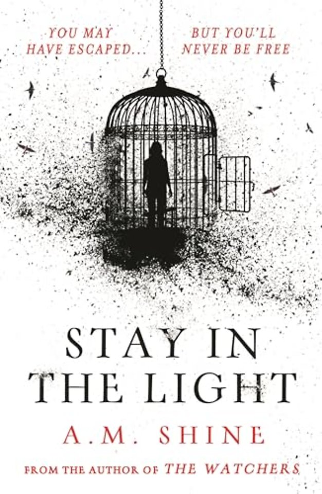 Stay in the Light