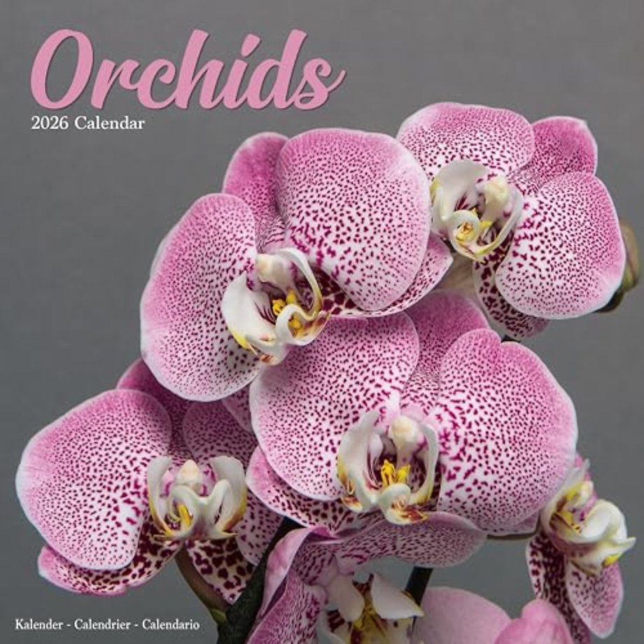 Orchids Calendar 2026  Square Flowers Wall Calendar - 16 Month