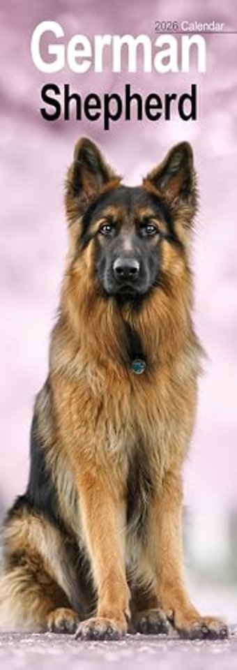 German Shepherd Slim Calendar 2026  Dog Breed Slimline Calendar - 12 Month
