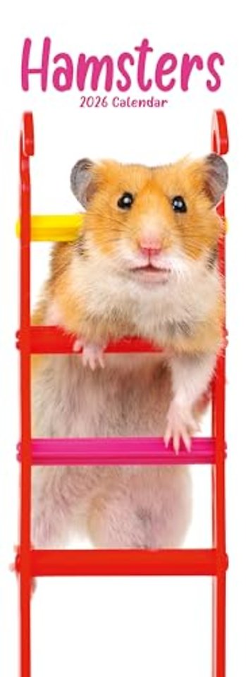 Hamsters Slim Calendar 2026  Cute Slimline Calendar - 12 Month