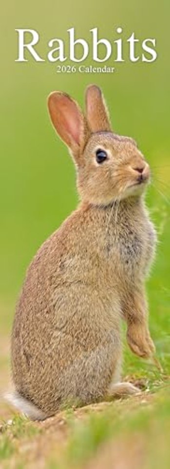 Rabbits Slim Calendar 2026  Cute Slimline Calendar - 12 Month