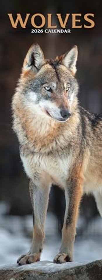 Wolves Slim Calendar 2026  Slimline Calendar - 12 Month