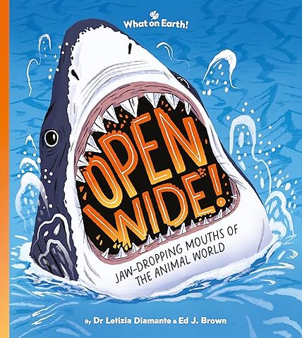 Open Wide!