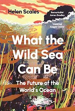 What the Wild Sea Can Be