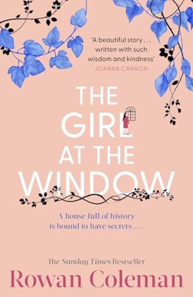 The Girl at the Window