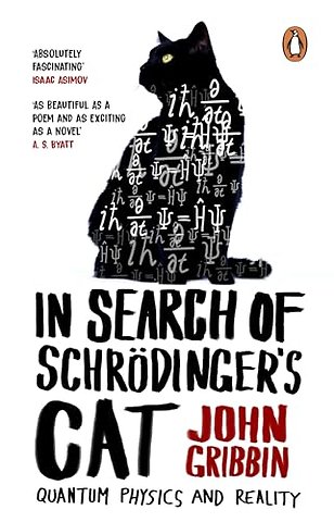 In Search Of Schrodinger's Cat