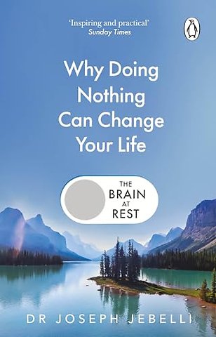 The Brain at Rest