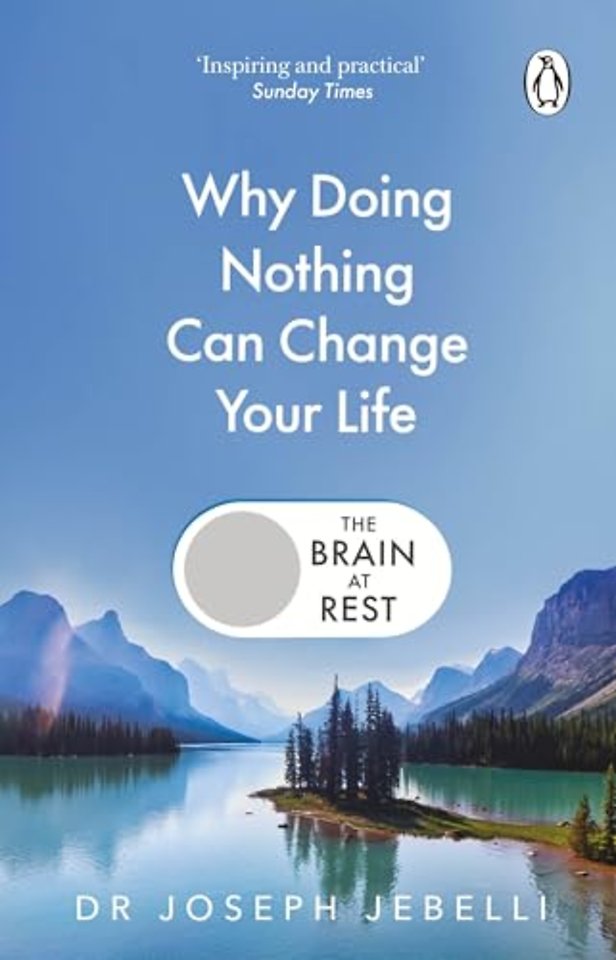 The Brain at Rest
