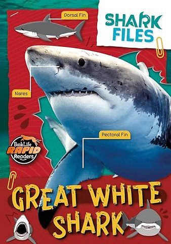 Great White Shark