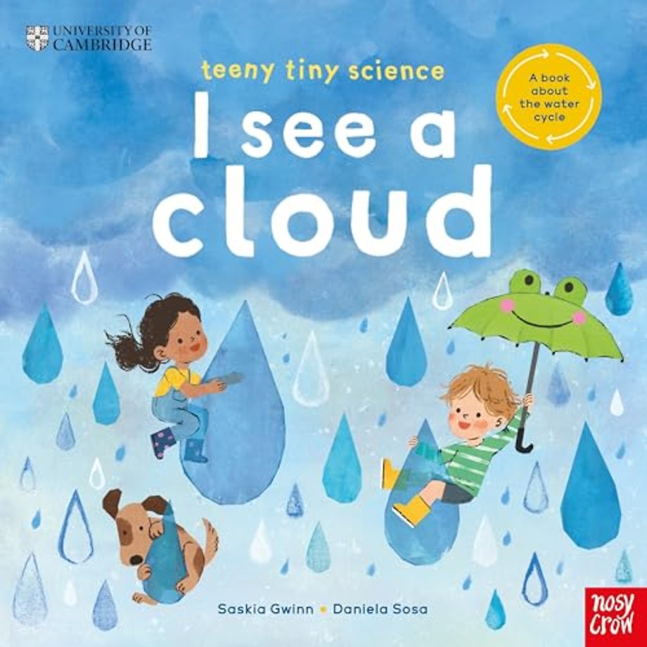 University of Cambridge: Teeny Tiny Science: I See a Cloud