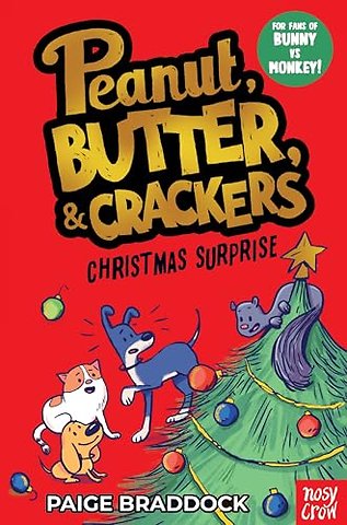 Christmas Surprise