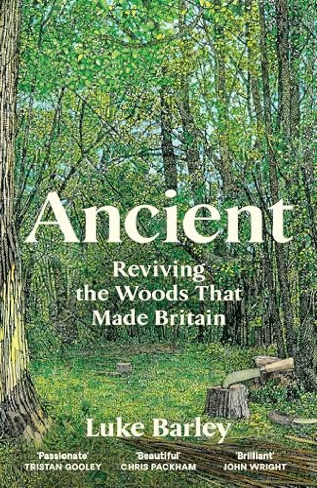 Ancient