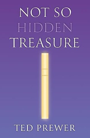 Not So Hidden Treasure