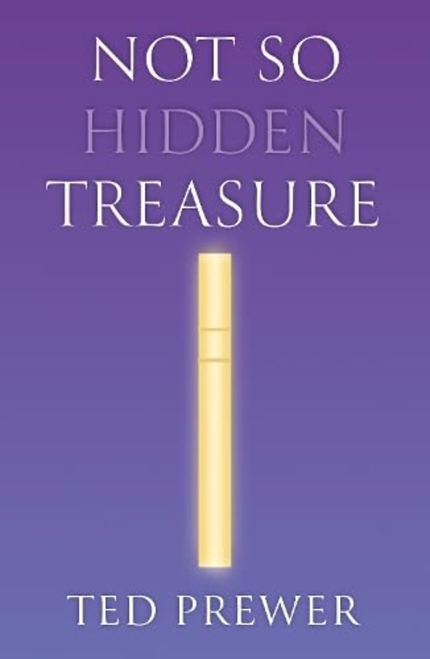 Not So Hidden Treasure
