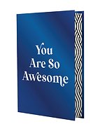 You Are So Awesome