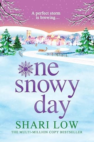 One Snowy Day