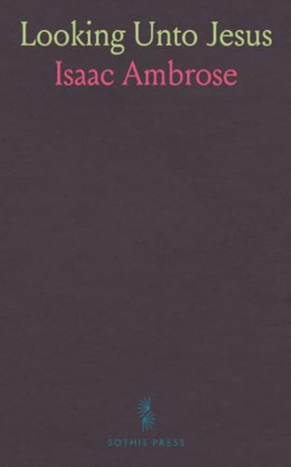 Looking Unto Jesus