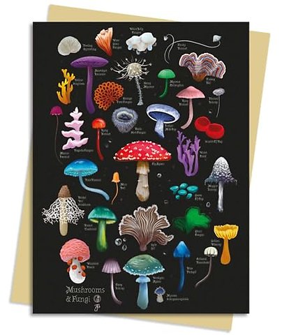 Anna Stead: Mushrooms & Fungi Greeting Card Pack