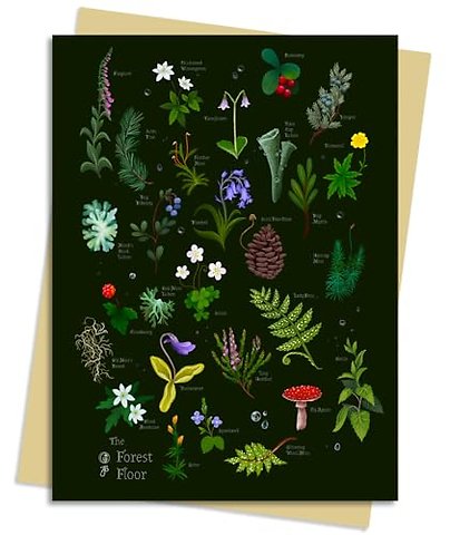 Anna Stead Forest Floor Greeting Card Pack