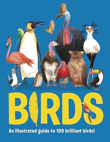 Birds