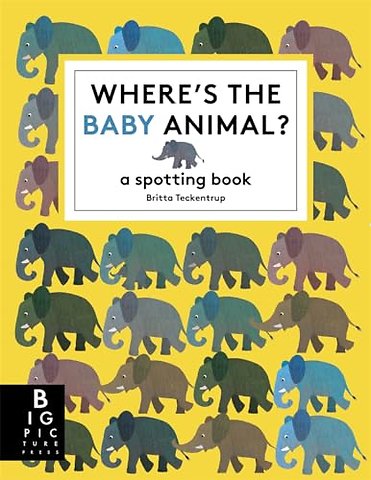 Where's the Baby Animal?