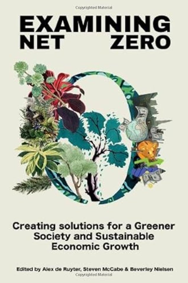 Examining Net Zero