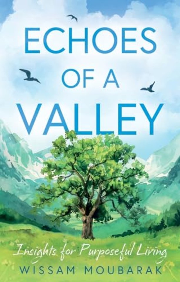 Echoes of a Valley