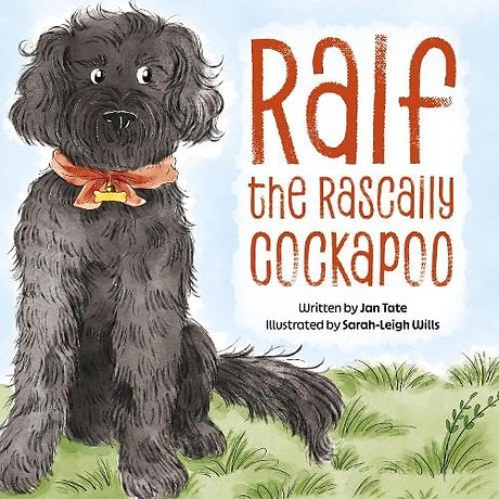Ralf the Rascally Cockapoo