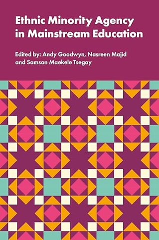 Ethnic Minority Agency in Mainstream Education – A Regional Perspective on a National Challenge