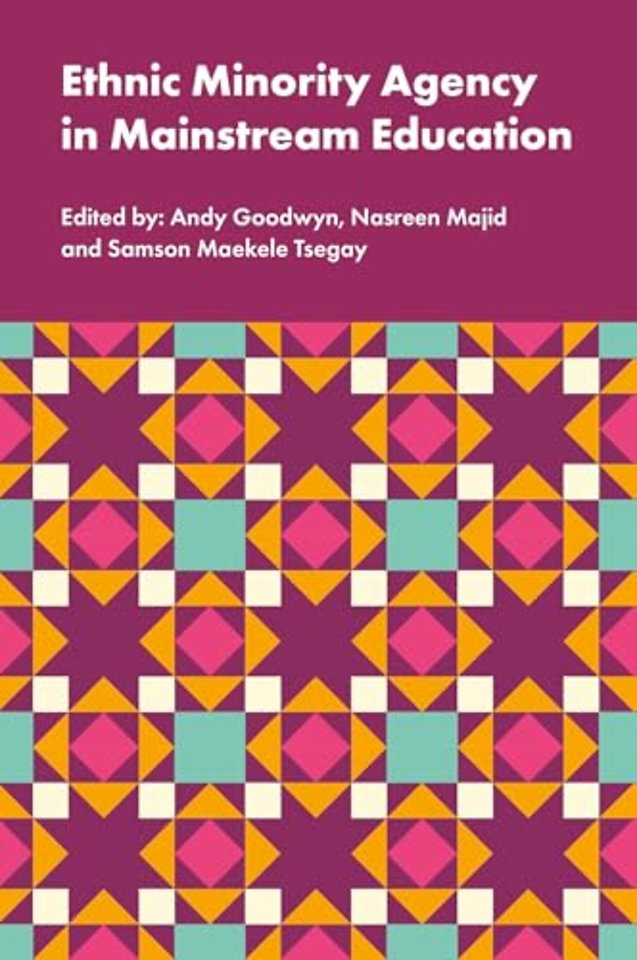 Ethnic Minority Agency in Mainstream Education – A Regional Perspective on a National Challenge