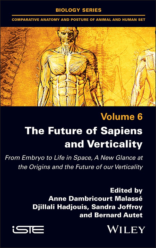The Future of Sapiens and Verticality – From  Embryo to Life in Space, A New Glance at the  Origins and the Future of our Verticality