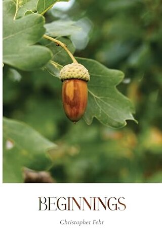 Beginnings