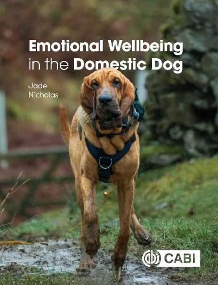 Emotional Wellbeing in the Domestic Dog