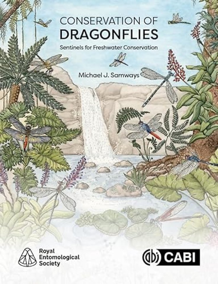 Conservation of Dragonflies
