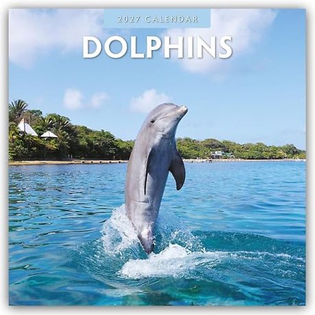 Dolphins 2027 Square Wall Calendar