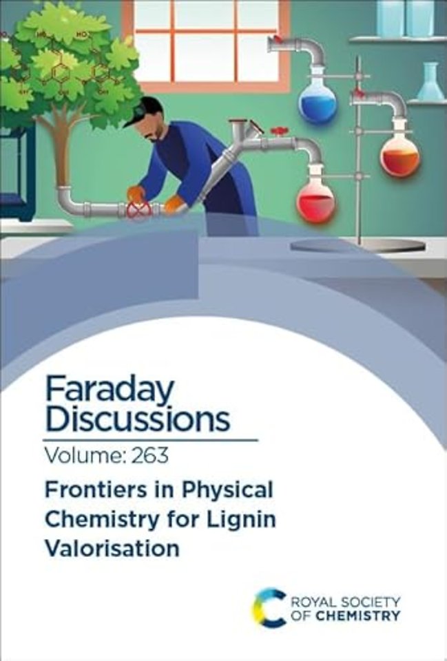 Frontiers in Physical Chemistry for Lignin Valorisation