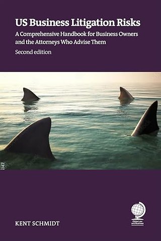 US Business Litigation Risks