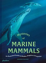 Mysteries of Marine Mammals