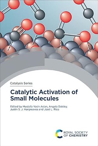 Catalytic Activation of Small Molecules