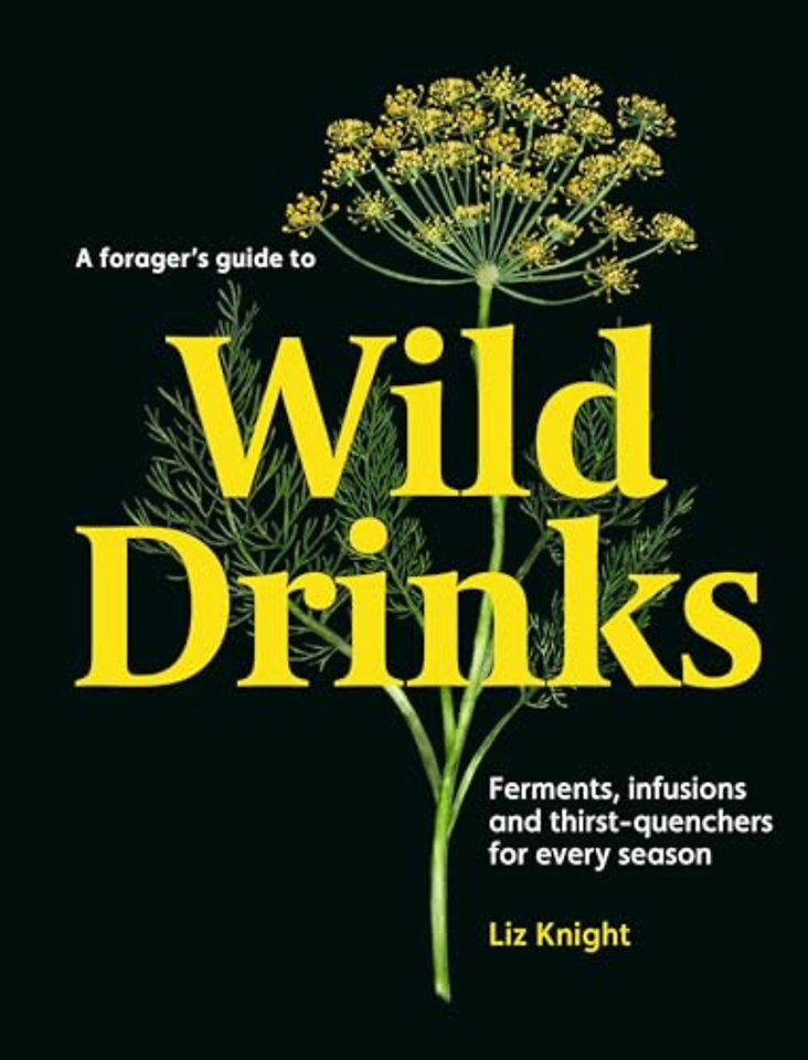 A Forager's Guide to Wild Drinks