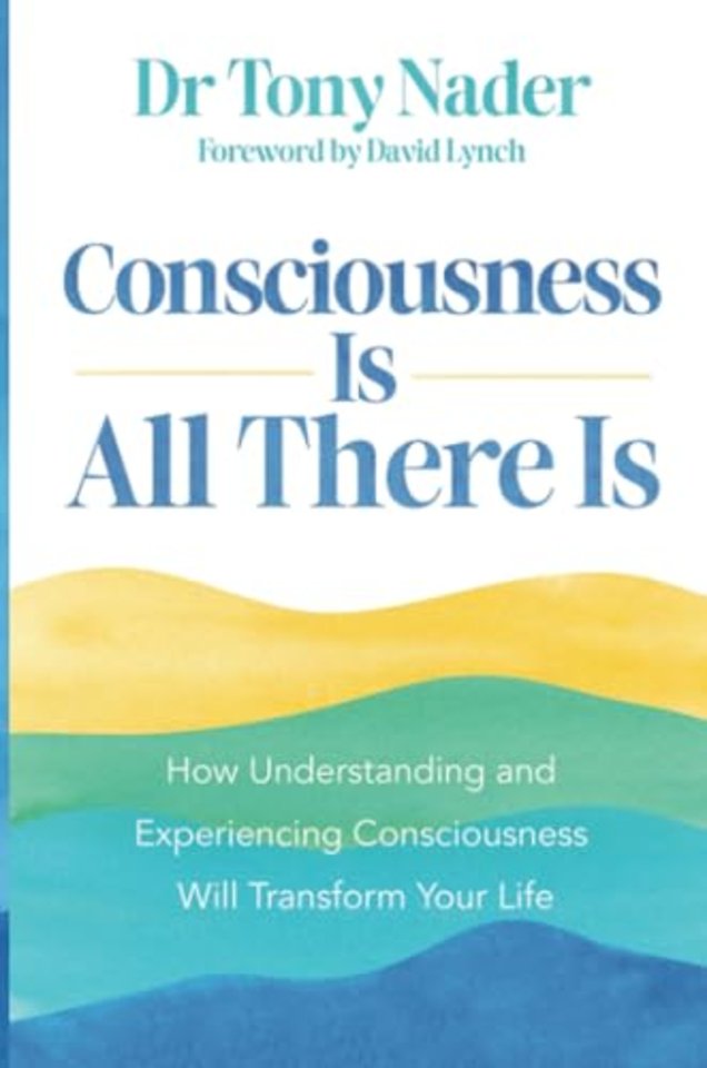 Consciousness Is All There Is