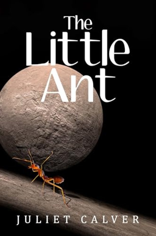 The Little Ant