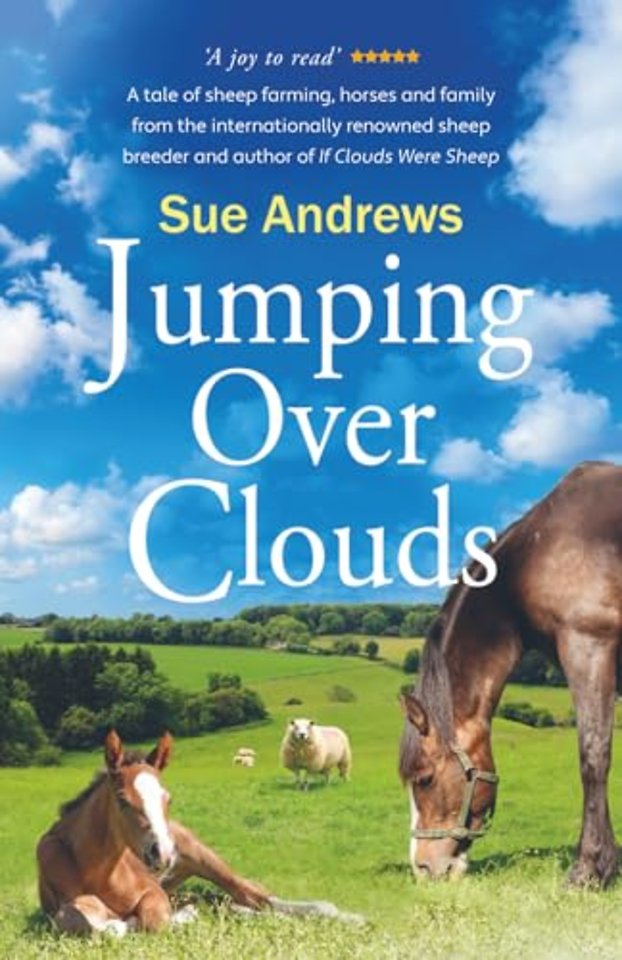 Jumping Over Clouds