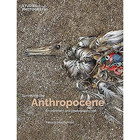 Surveying the Anthropocene: