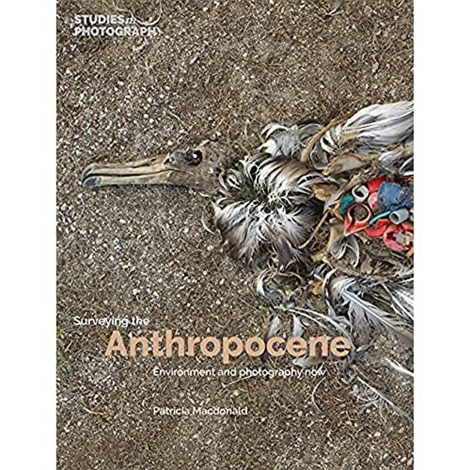 Surveying the Anthropocene: