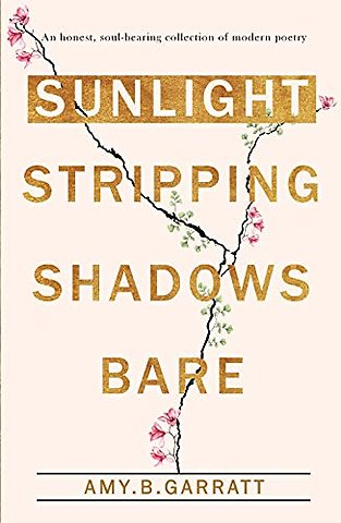 SUNLIGHT STRIPPING SHADOWS BARE