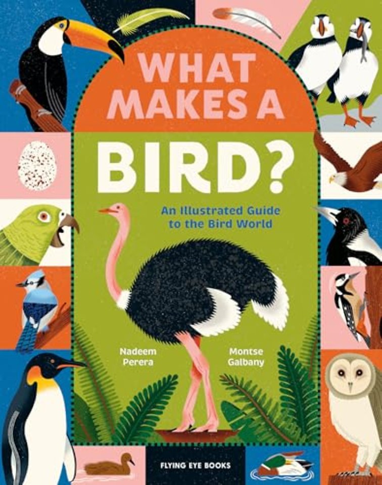 What Makes a Bird?