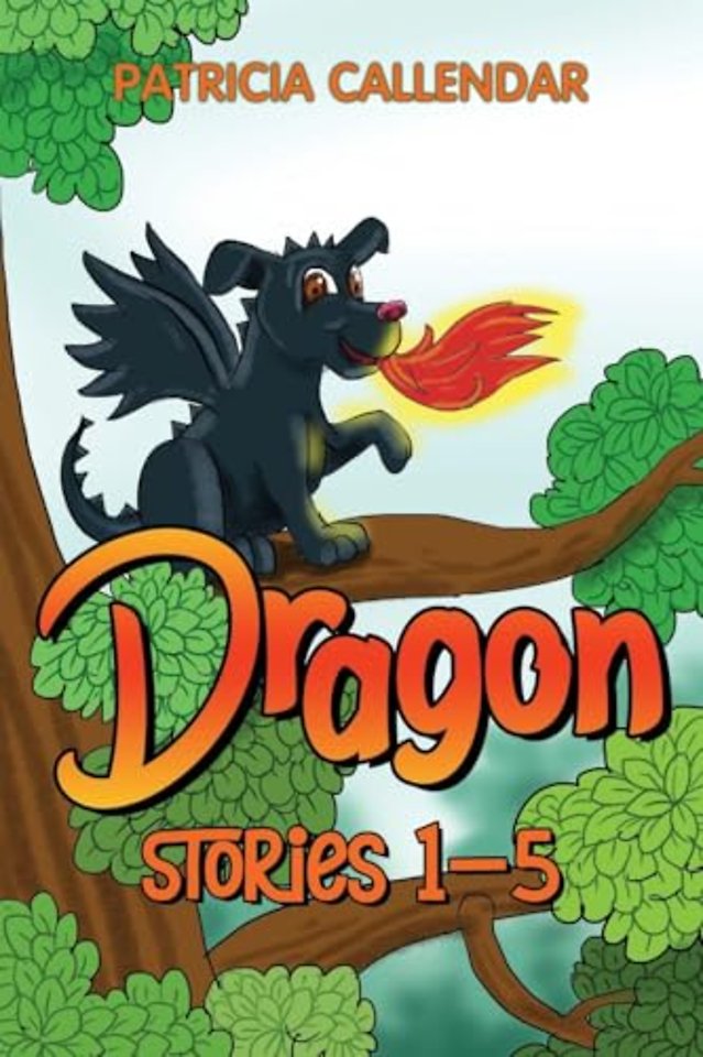 Dragon Stories 1 - 5