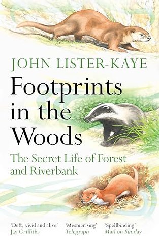 Footprints in the Woods