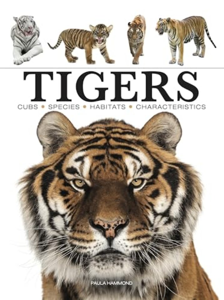 Tigers